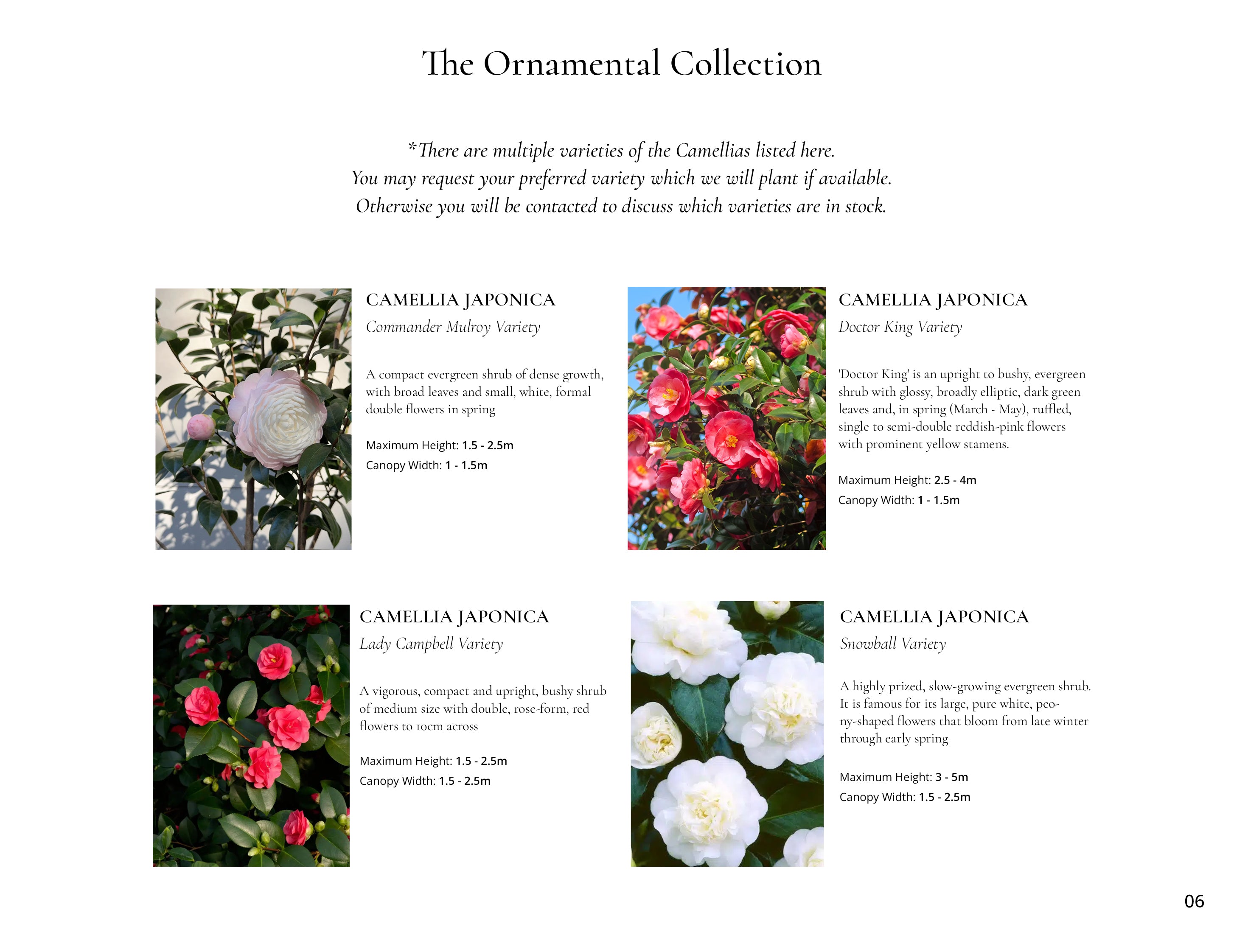 The Ornamental Collection