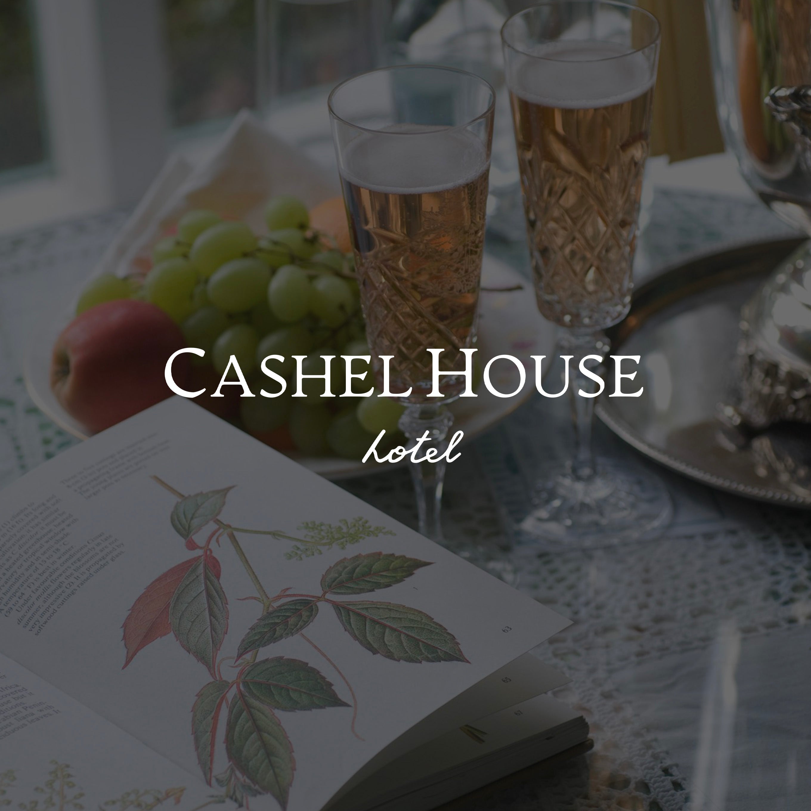 Monetary Gift Voucher (Digital)