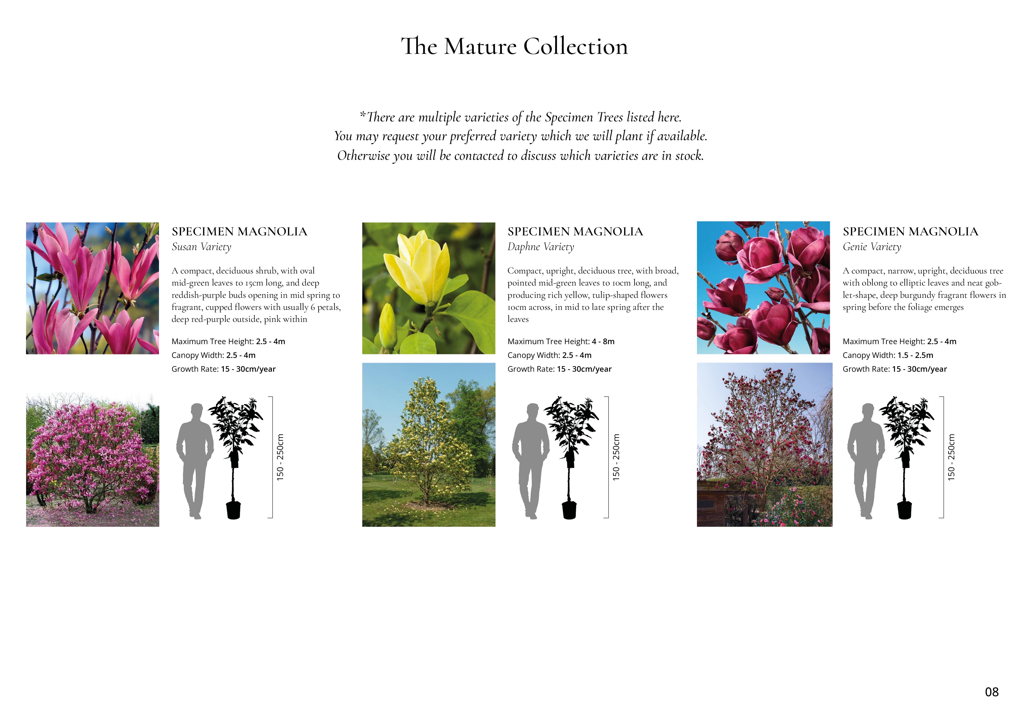 The Mature Collection