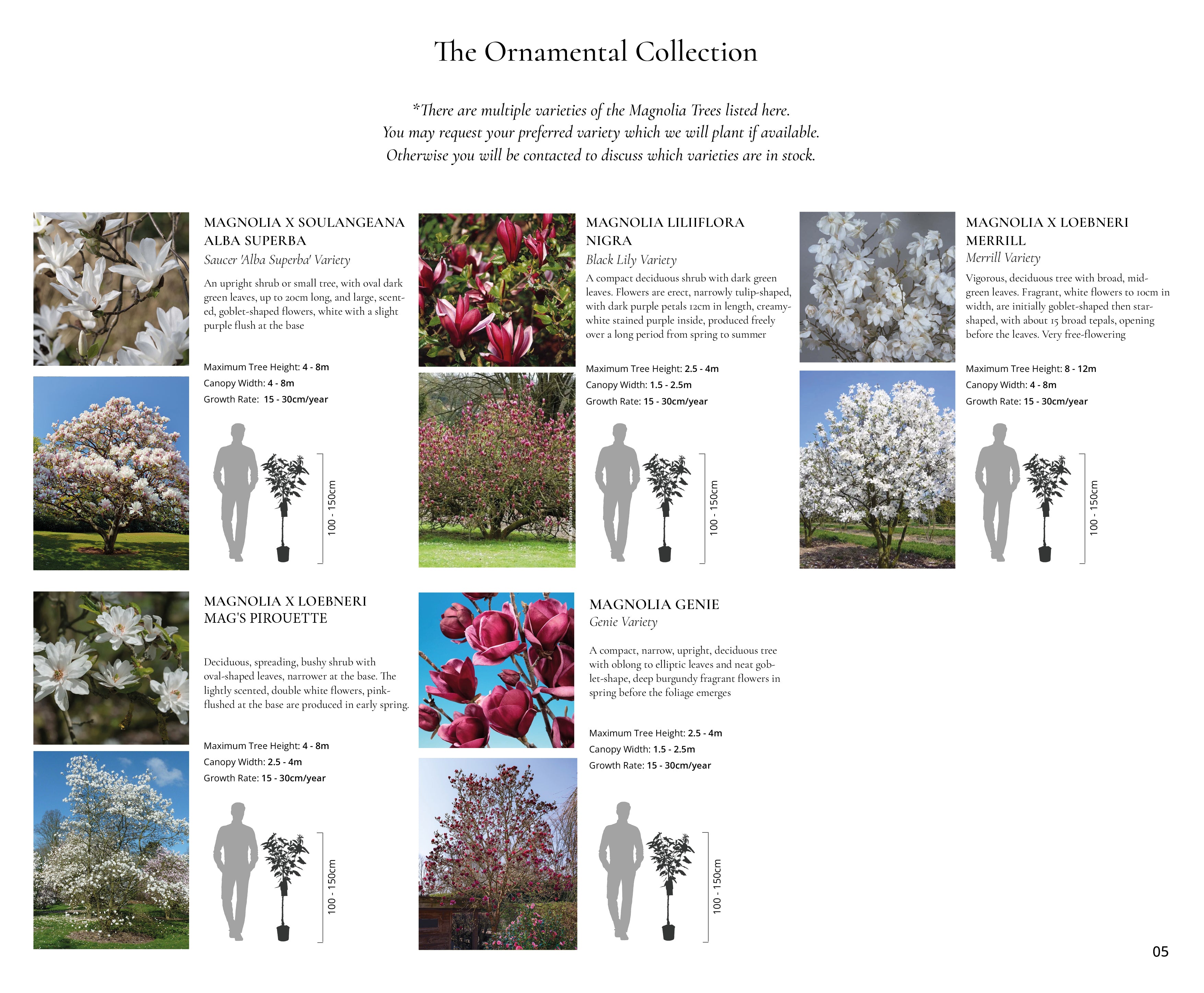 The Ornamental Collection